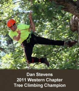 dan-comp