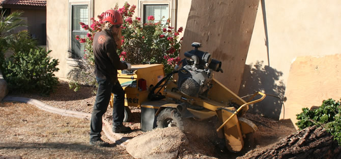 Stump Grinding